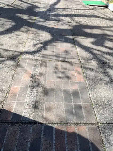 Das Mosaik