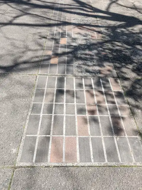 Das Mosaik