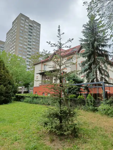 Weißtanne