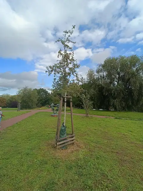 Wildbirne